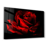 Red Rose Vintage | Glass Wall Art