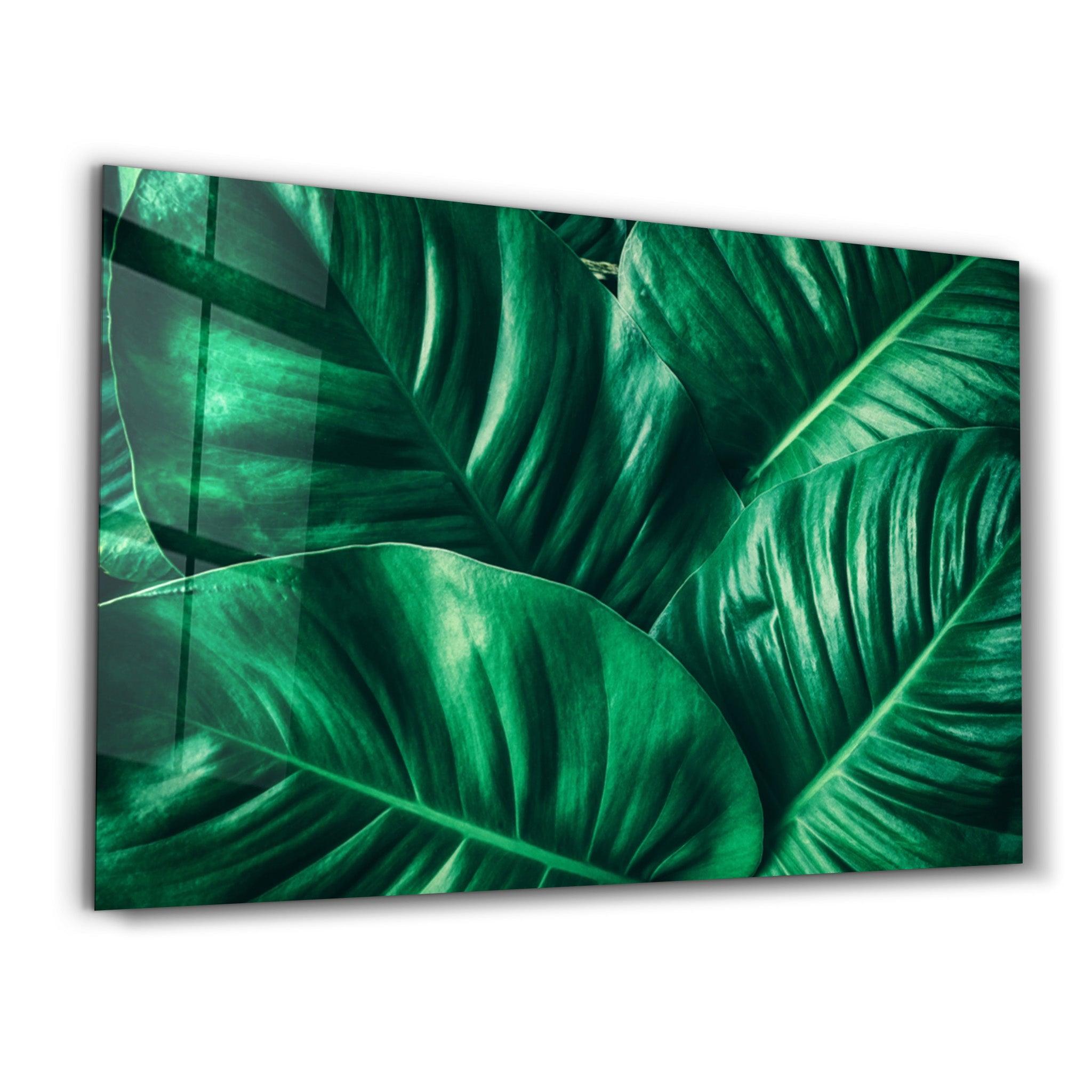 Green Tropical Leaf | Glass Wall Art - Artdesigna