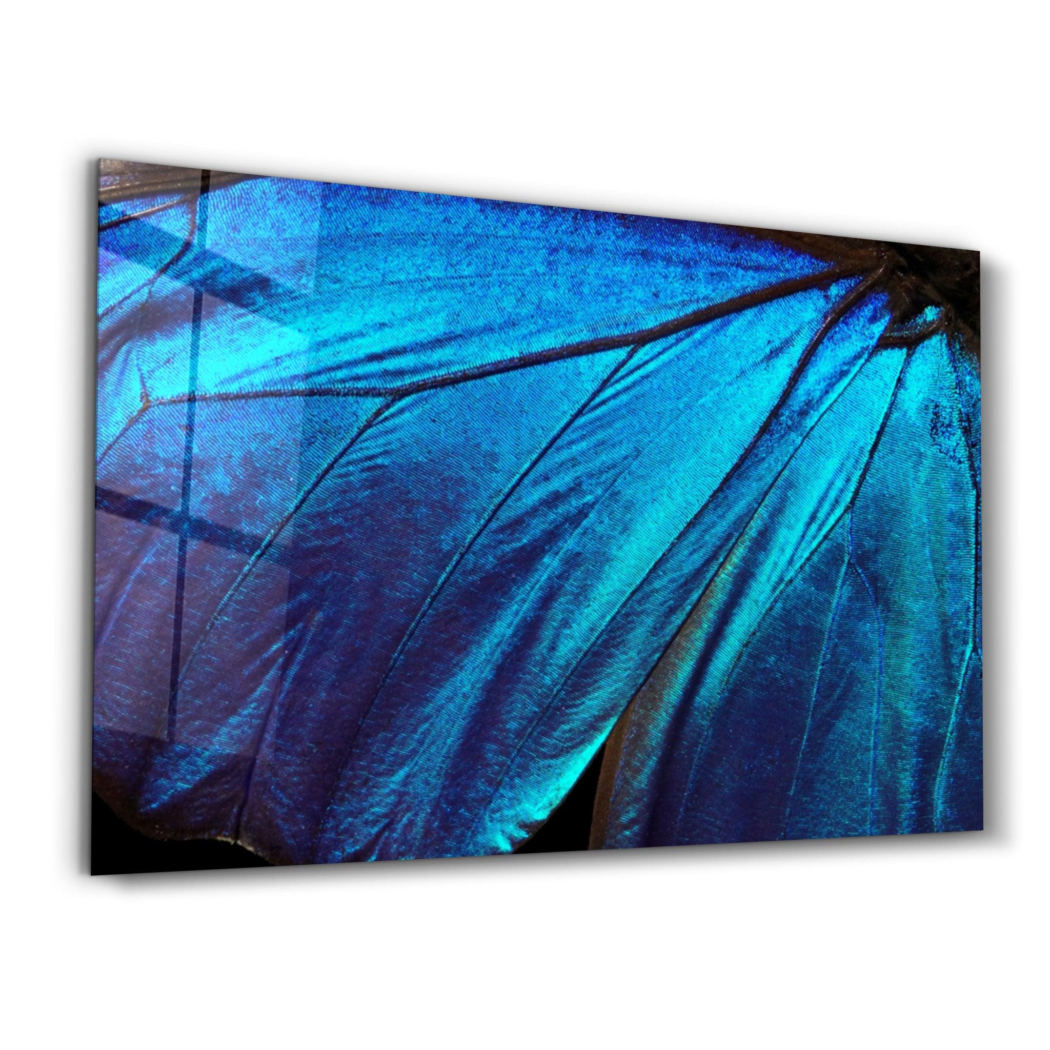 Butterfly Wing | Glass Wall Art - Artdesigna