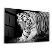 Tiger 2 | Glass Wall Art - Artdesigna