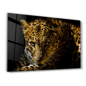 Leopard's Untamed Beauty | Glass Wall Art - Artdesigna