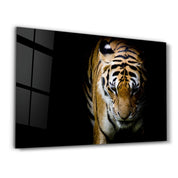 Tiger 3 | Glass Wall Art - Artdesigna