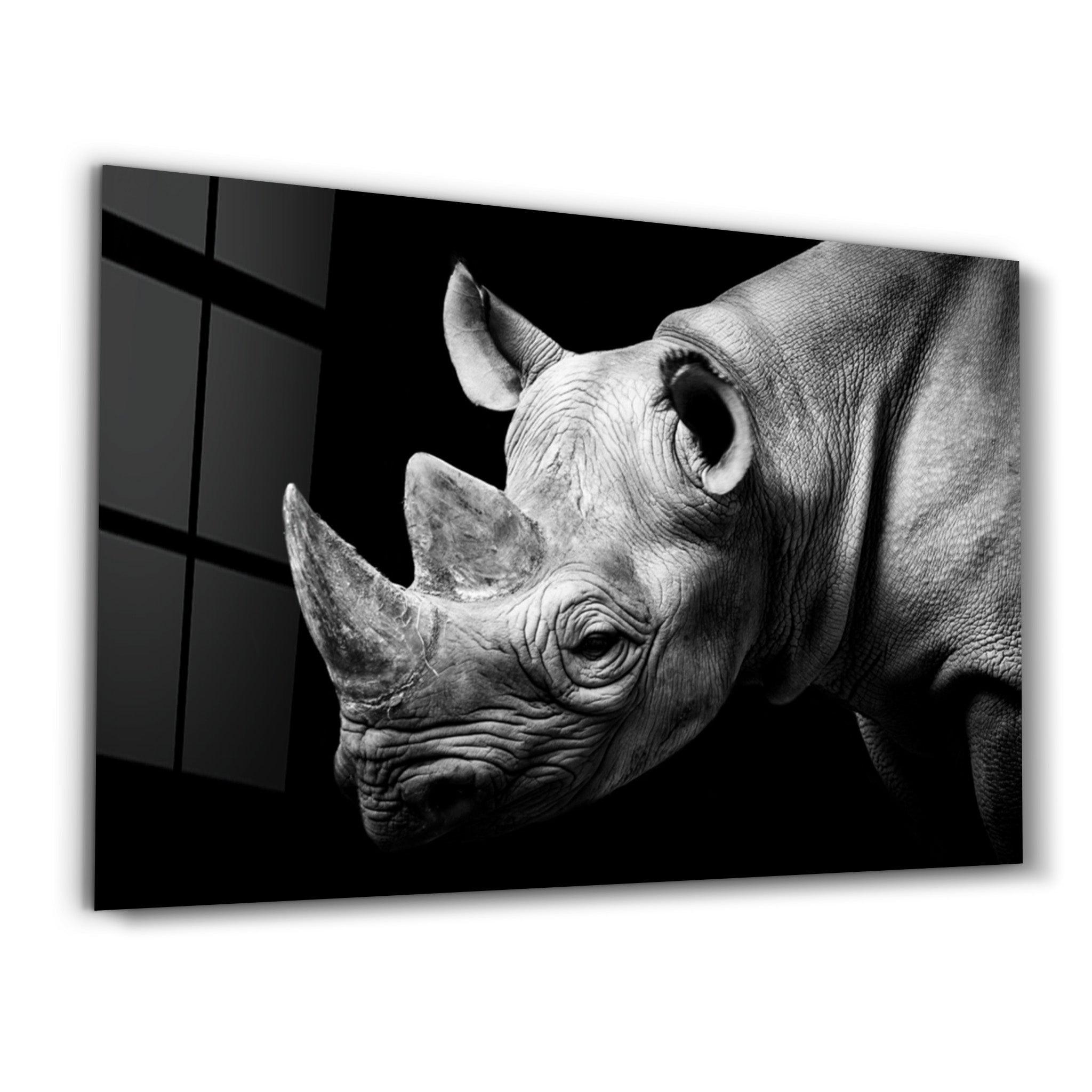 Rhino | Glass Wall Art - Artdesigna