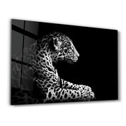 Leopard in Focus | Glass Wall Art - Artdesigna