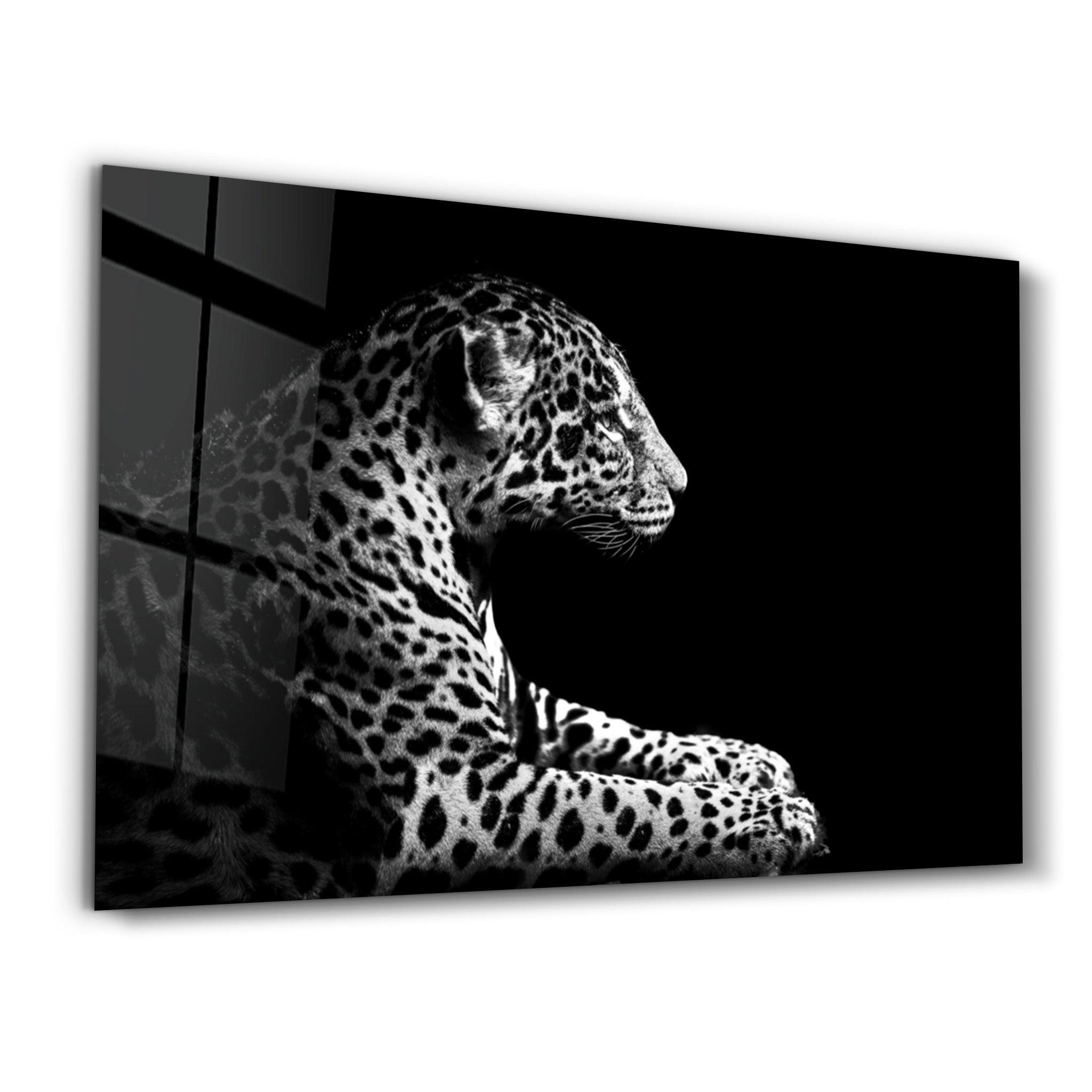 Leopard in Focus | Glass Wall Art - Artdesigna