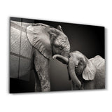 Elephants | Glass Wall Art