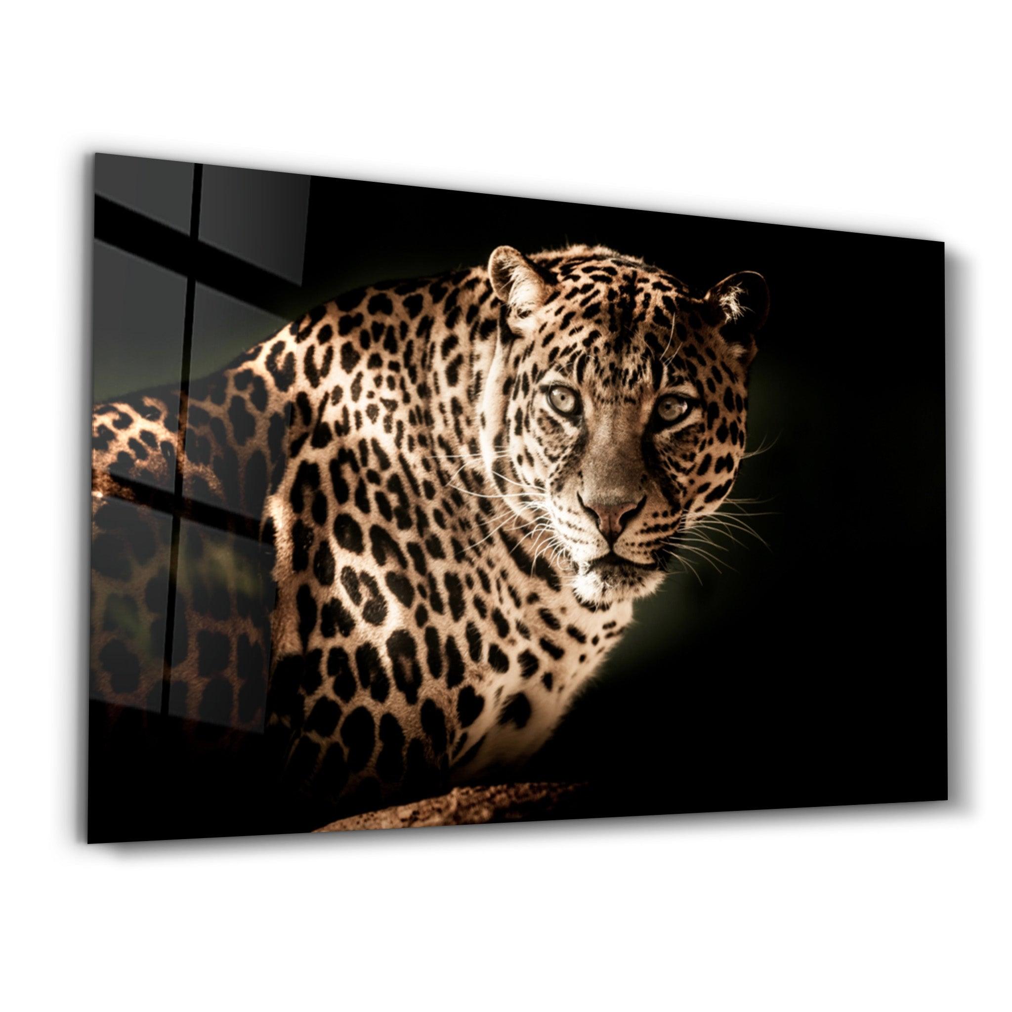 Leopard’s Silent Vigil | Glass Wall Art - Artdesigna