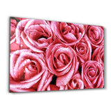 Pink Rose | Glass Wall Art