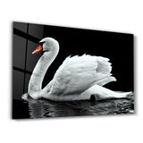 Dignity | Glass Wall Art
