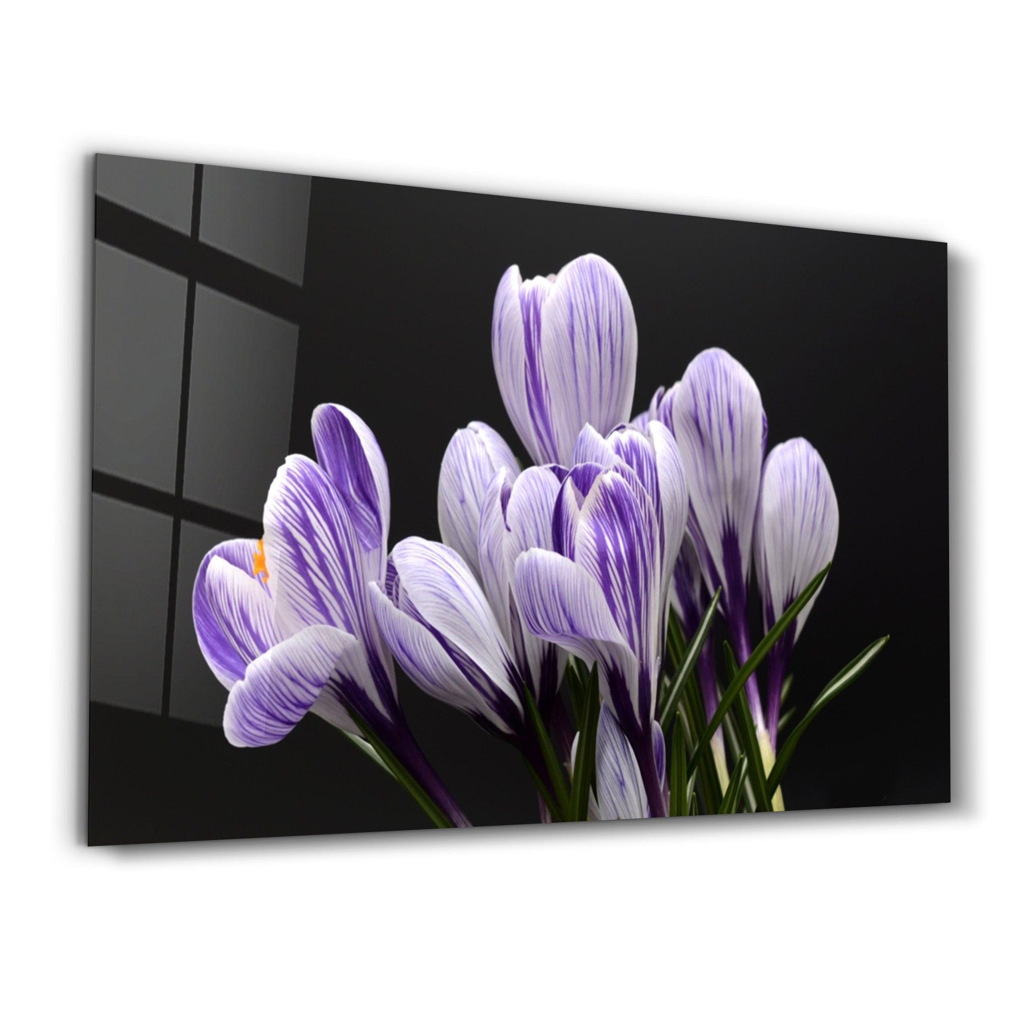 Purple Flowers | Glass Wall Art - Artdesigna