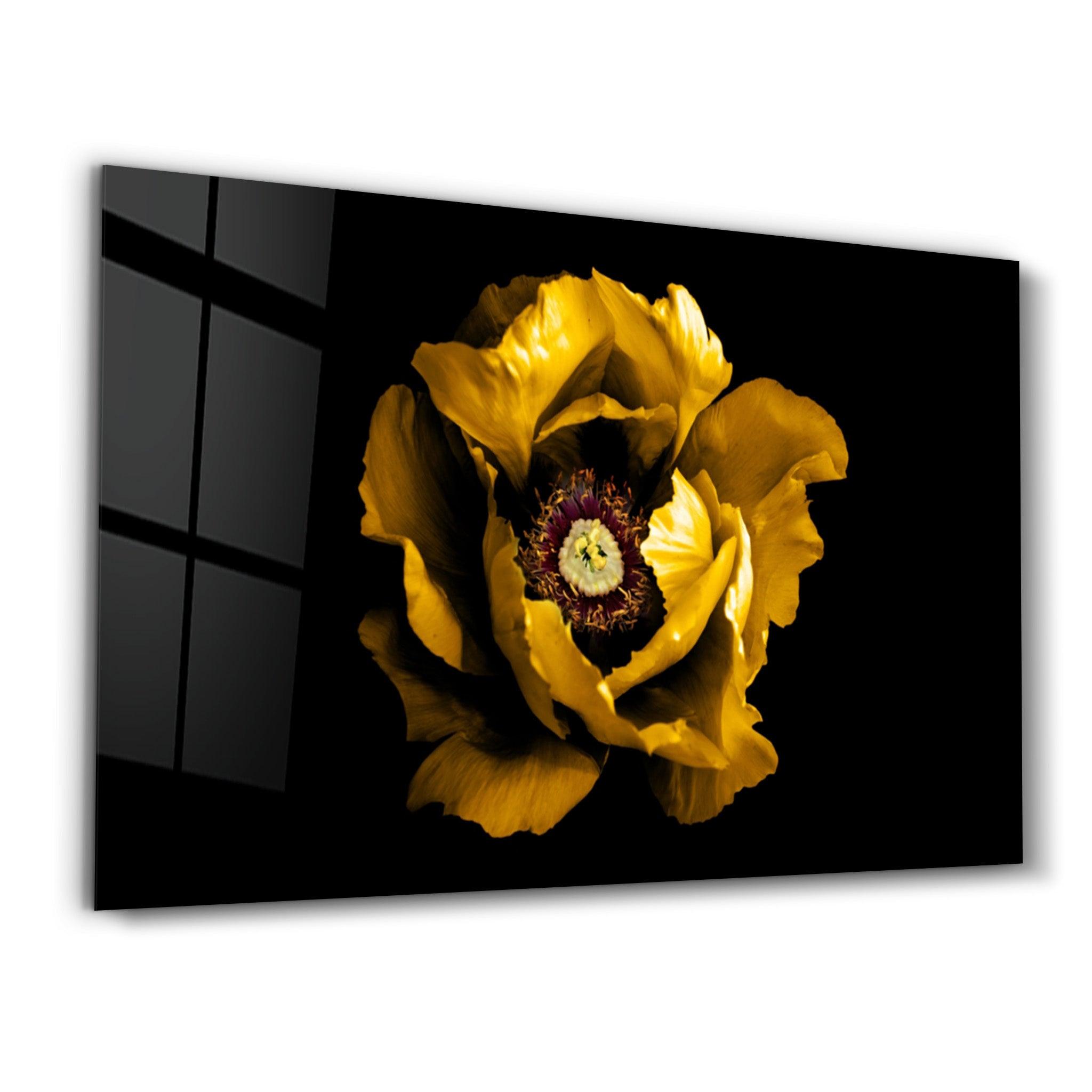 Yellow Rose 2 | Glass Wall Art - Artdesigna