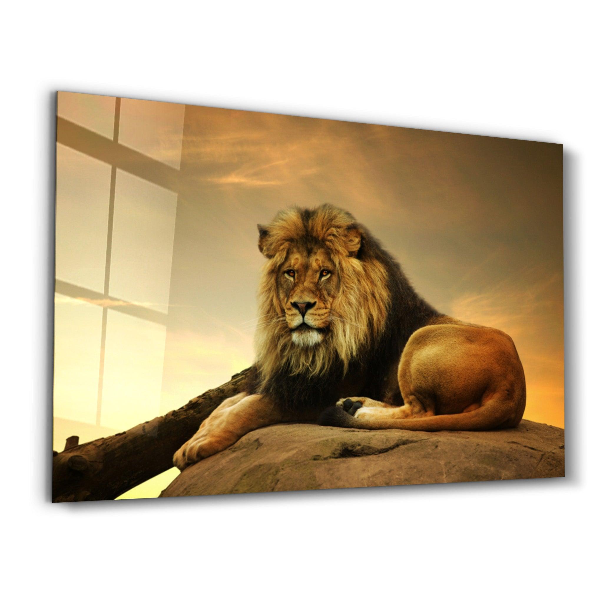 King of the Savanna | Glass Wall Art - Artdesigna