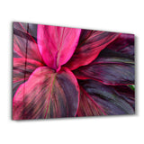 Pink Leaves | Glass Wall Art