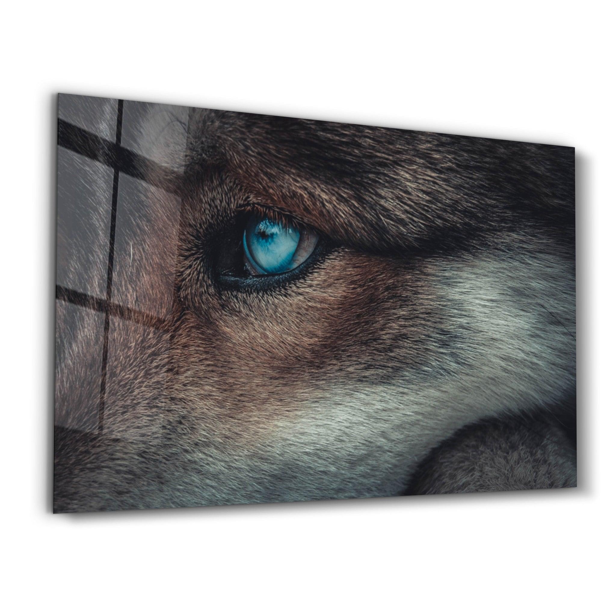 Foxblue | Glass Wall Art - Artdesigna