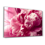 Pinkflow | Glass Wall Art