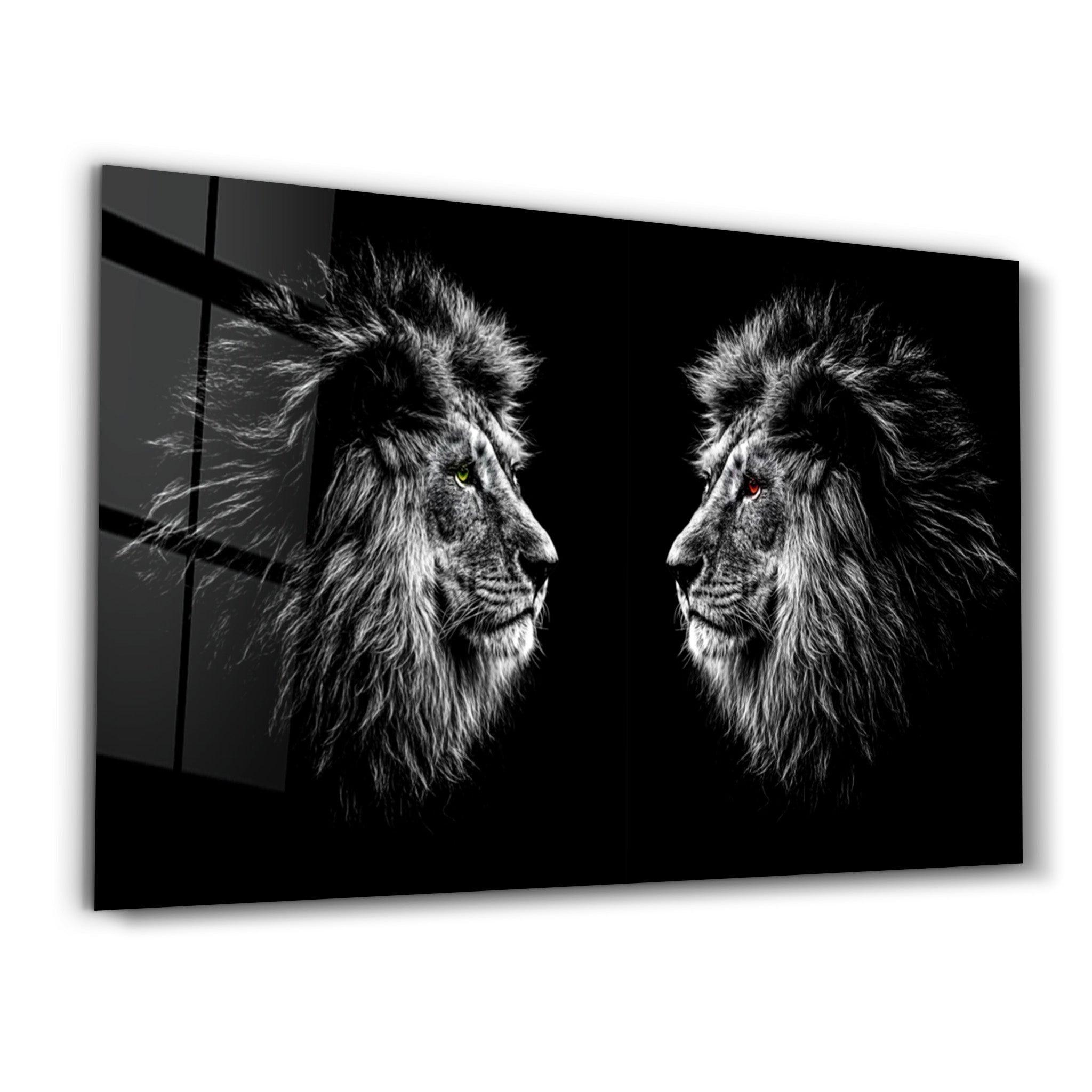 Lions Confrontation BW | Glass Wall Art - Artdesigna