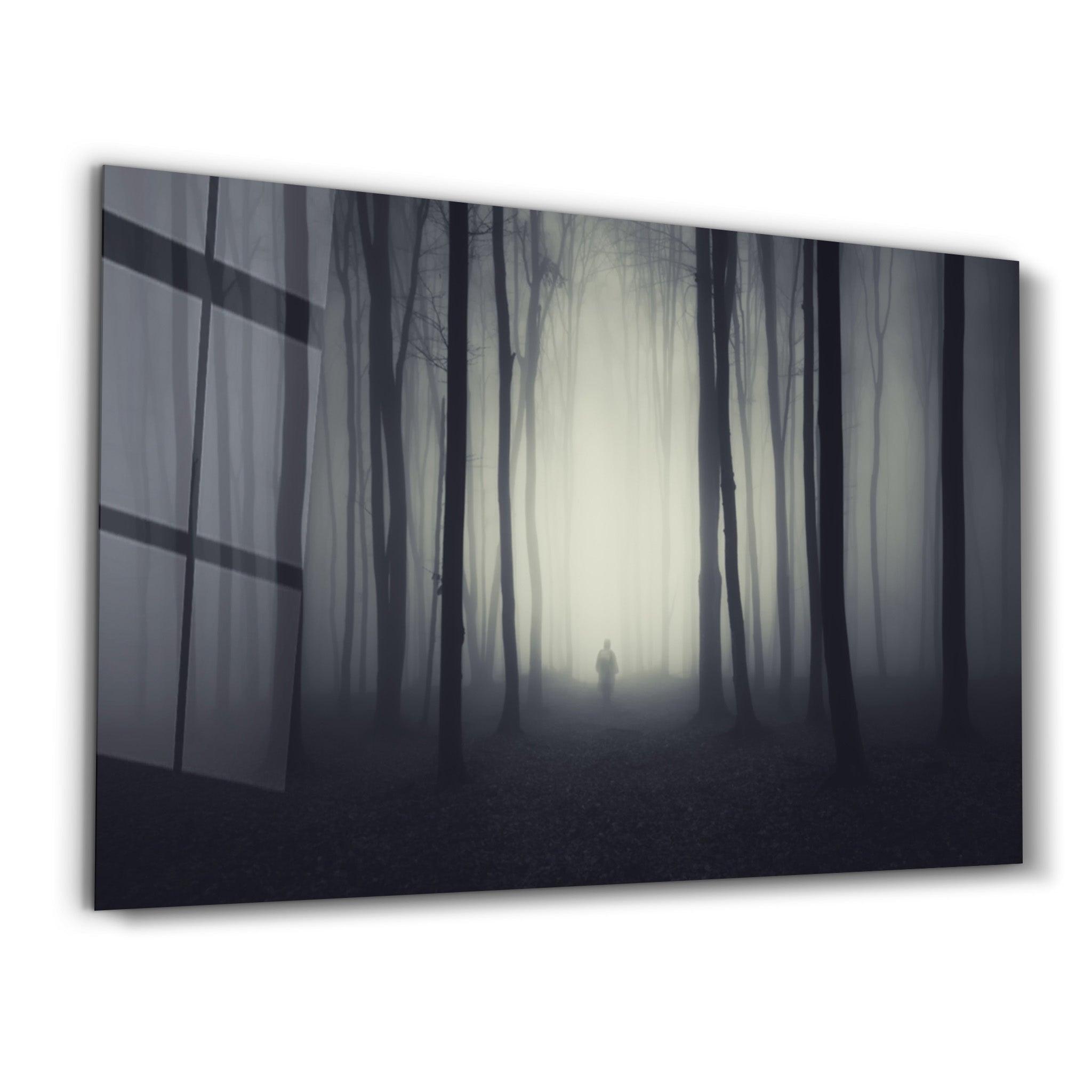 Foggy Path | Glass Wall Art - Artdesigna