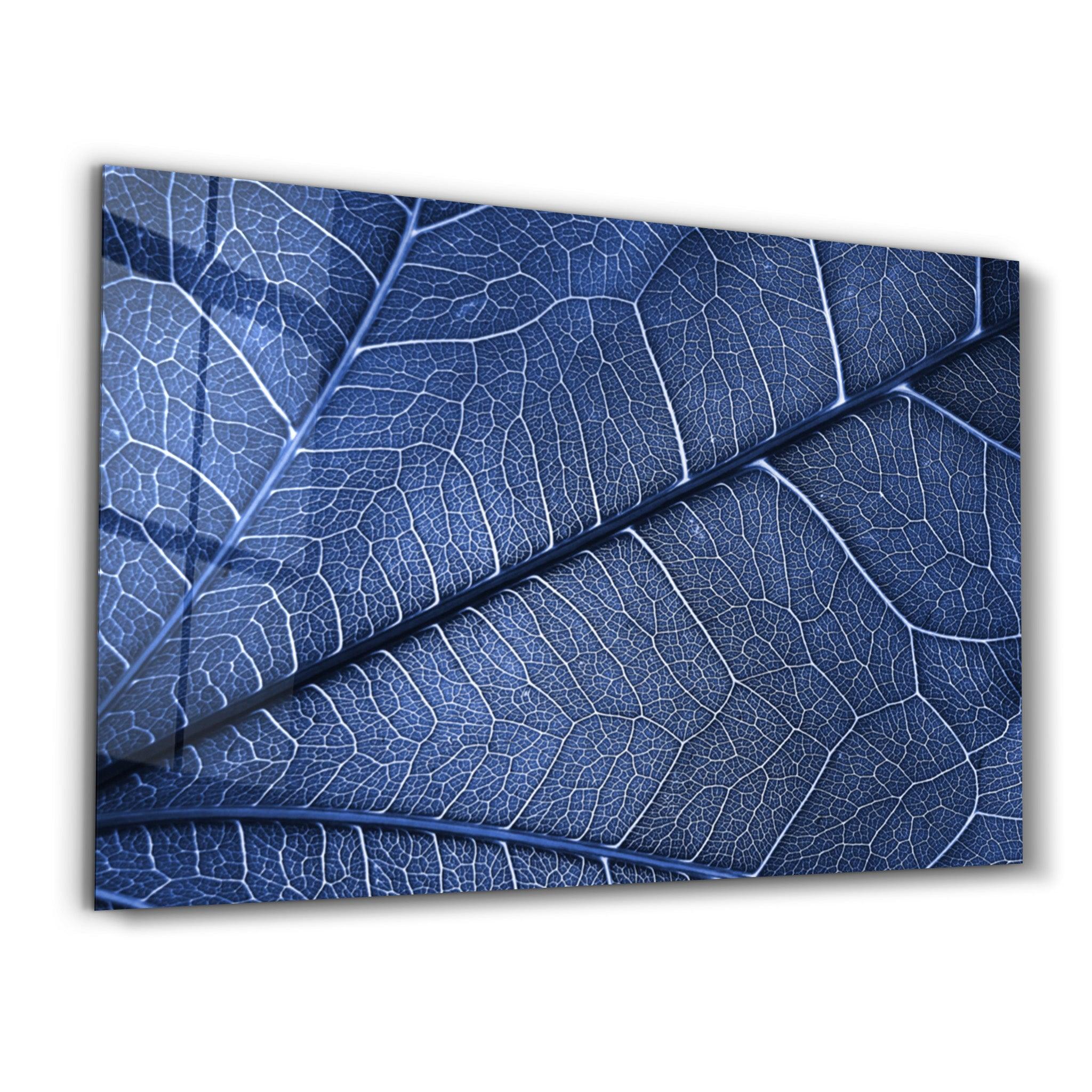 Silver Leaf | Glass Wall Art - Artdesigna