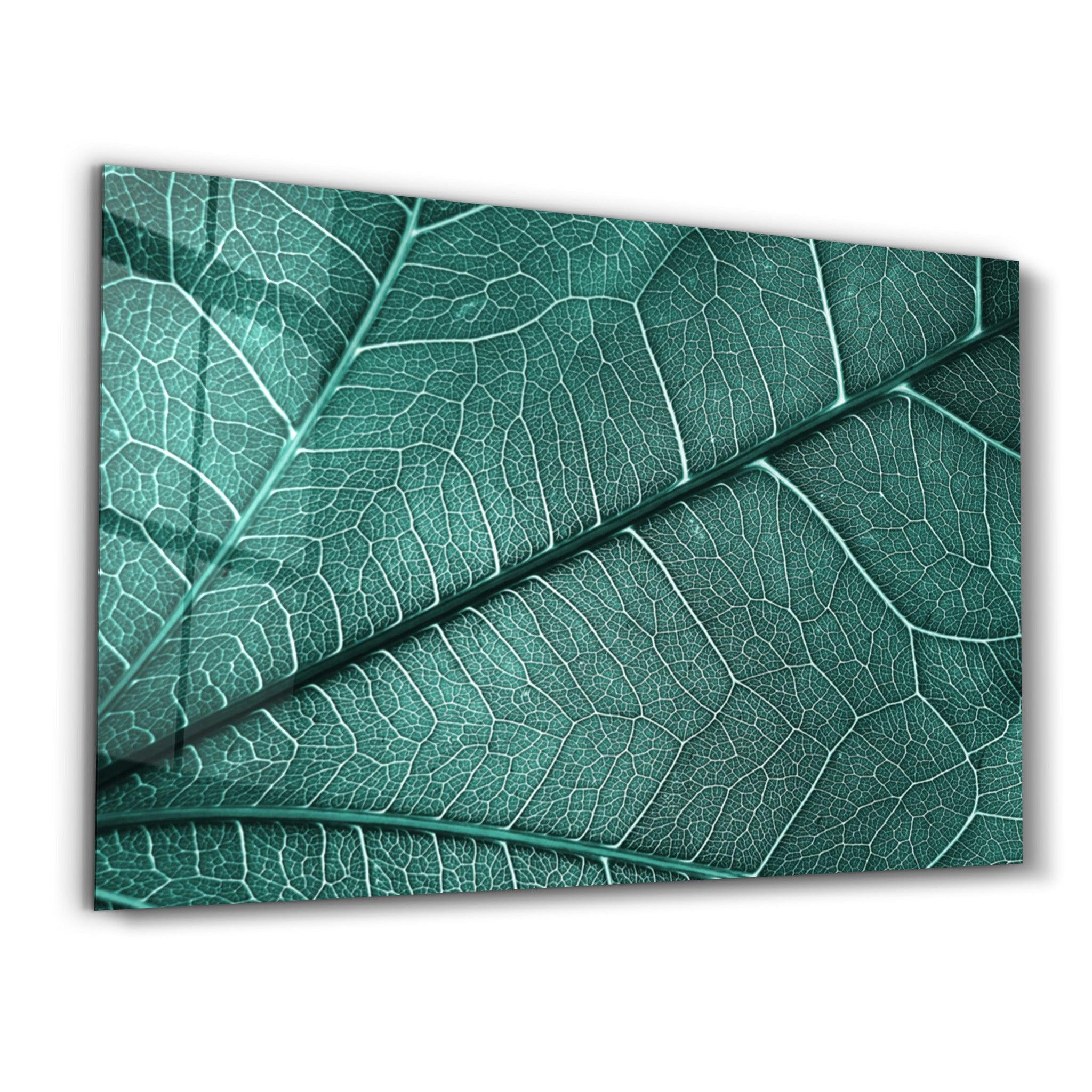 Green Leaf 4 | Glass Wall Art - Artdesigna