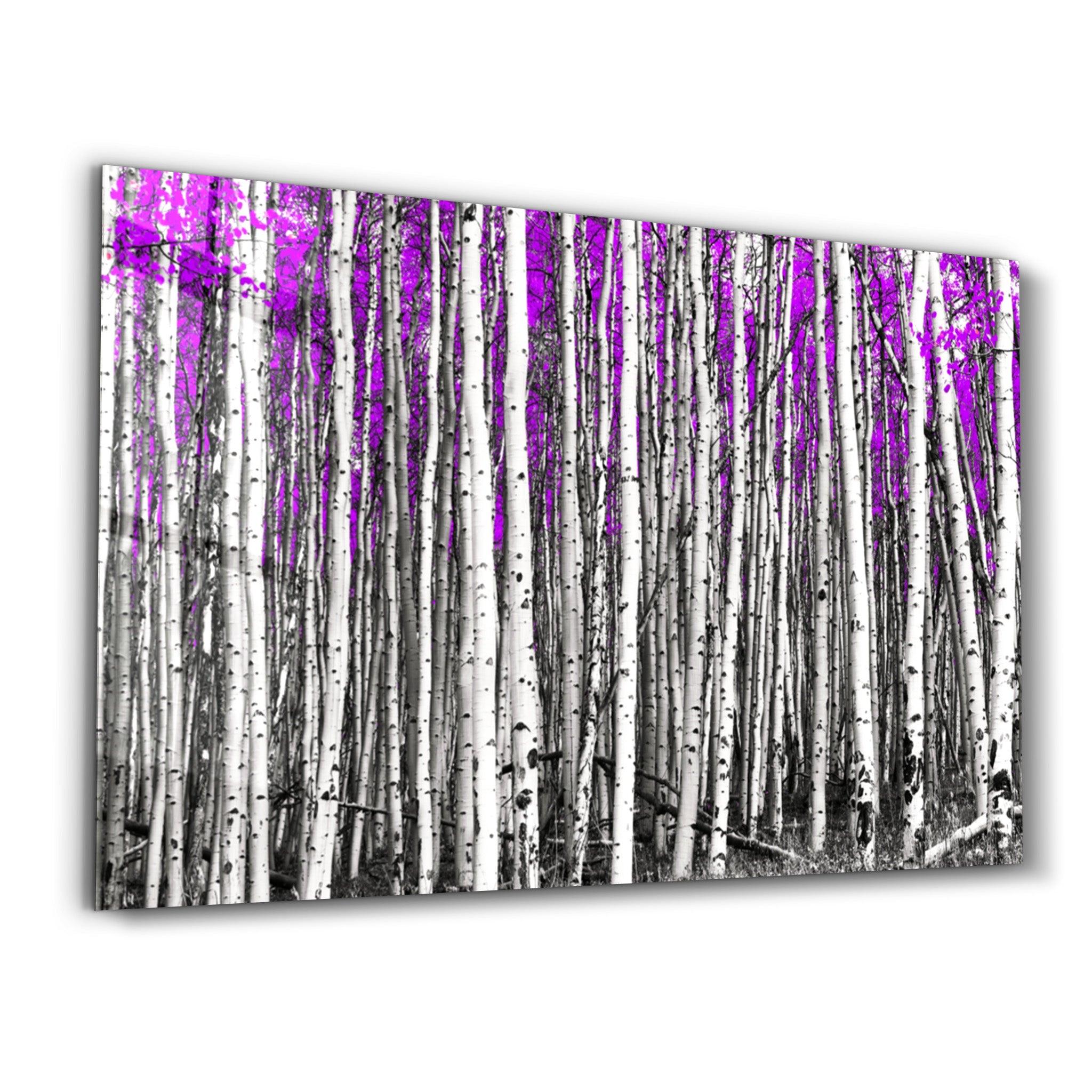 Abstract White Trees V3 | Glass Wall Art - Artdesigna