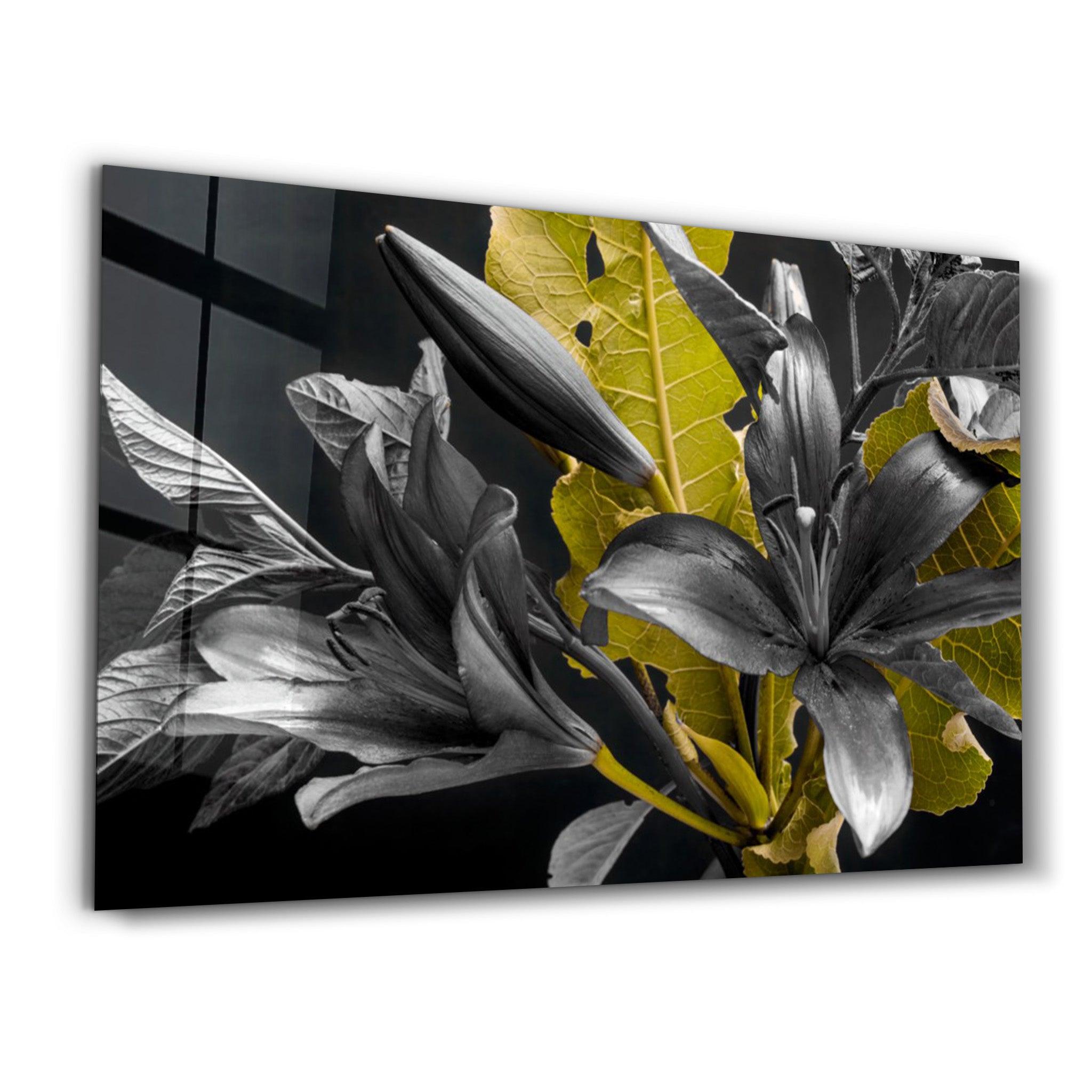 Yellow and Black Flowers | Glass Wall Art - Artdesigna