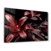 Red and Black Flowers | Glass Wall Art - Artdesigna