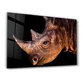 Rhino V3 | Glass Wall Art