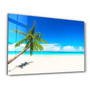 Paradise Calm: The Leaning Palm | Glass Wall Art - Artdesigna