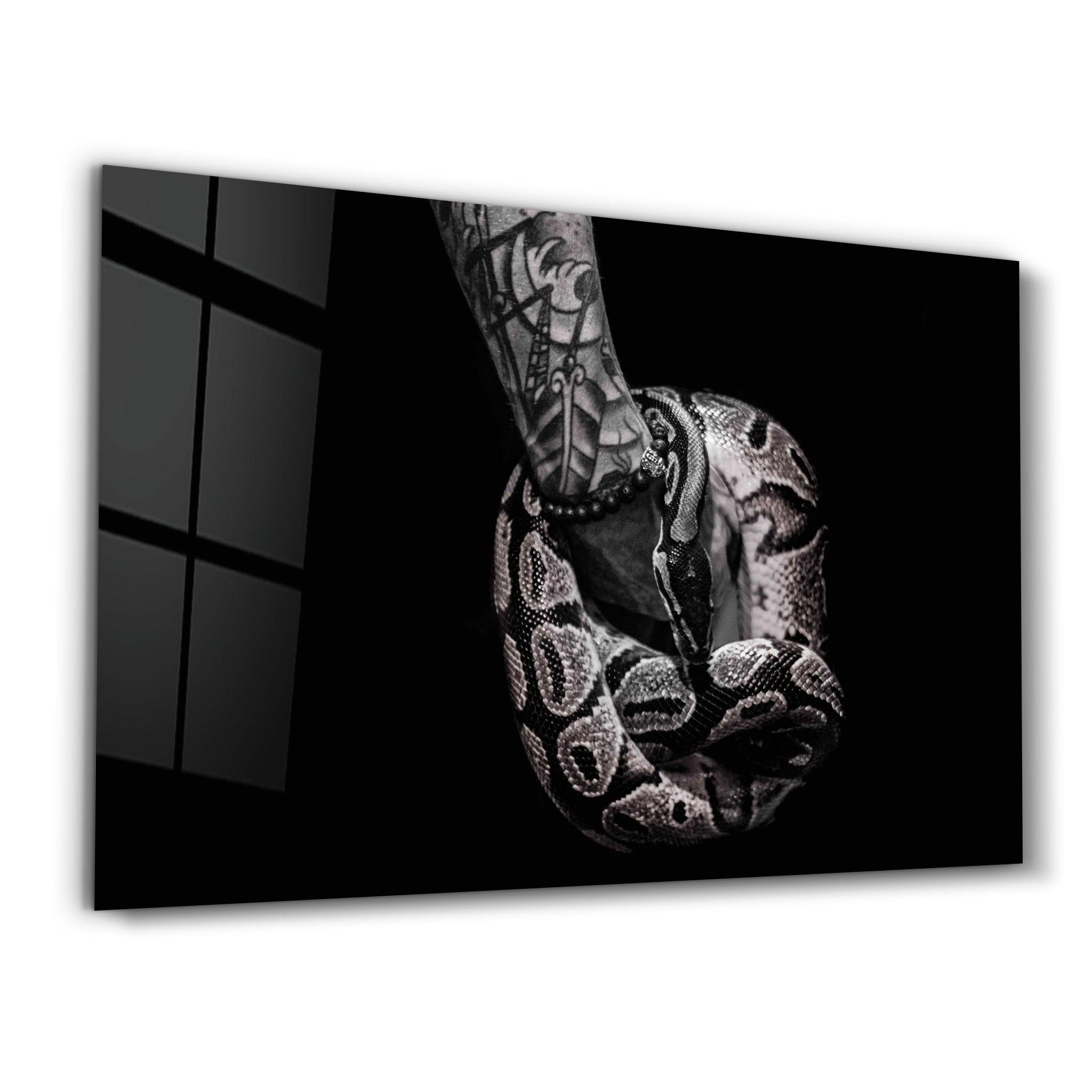 Viper | Designer's Collection Glass Wall Art - Artdesigna