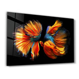 Beta Fishes | Glass Wall Art