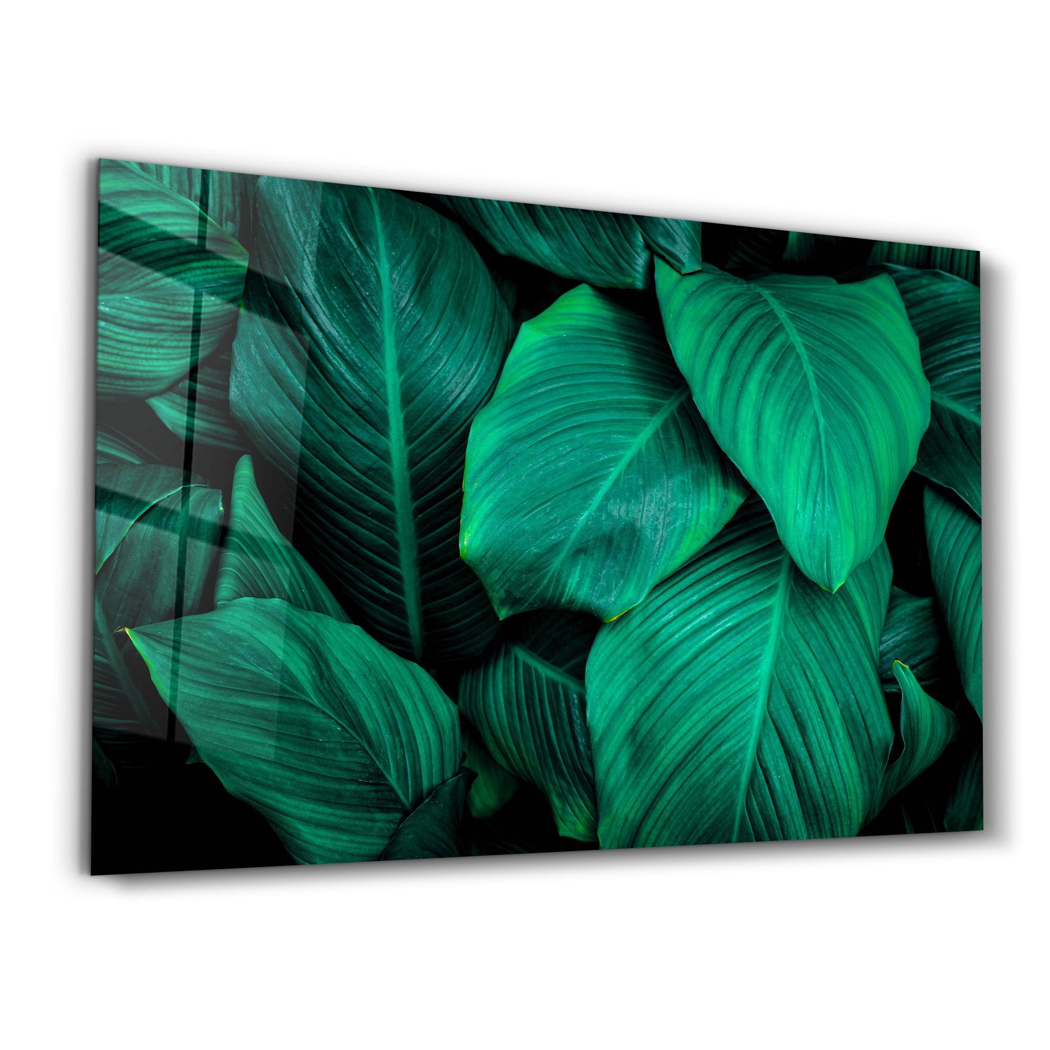 Green Leaves | Glass Wall Art - Artdesigna