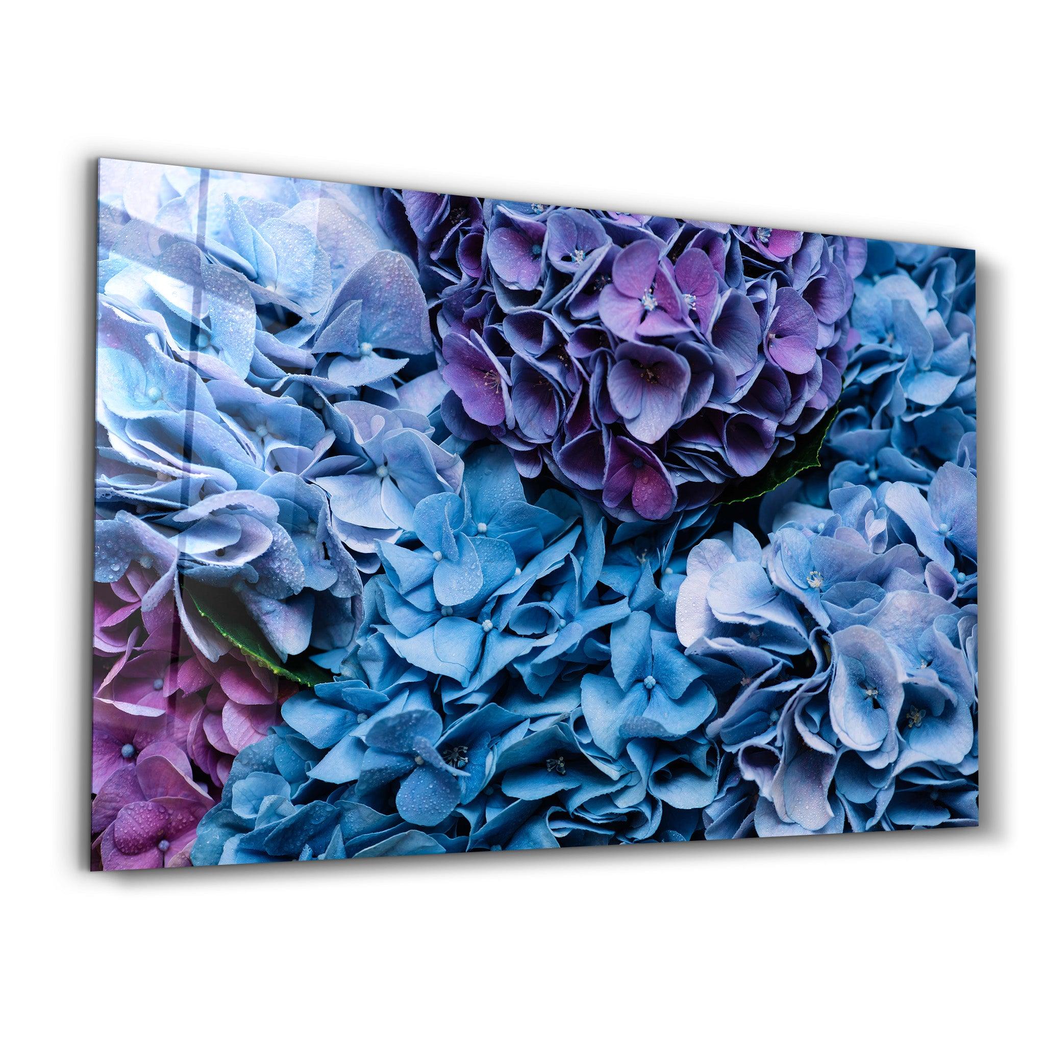 hydrangea | Glass Wall Art - Artdesigna