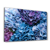 hydrangea | Glass Wall Art