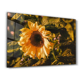Bye October Hello November | Glass Wall Art