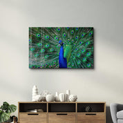 The Peacock | Glass Wall Art - Artdesigna