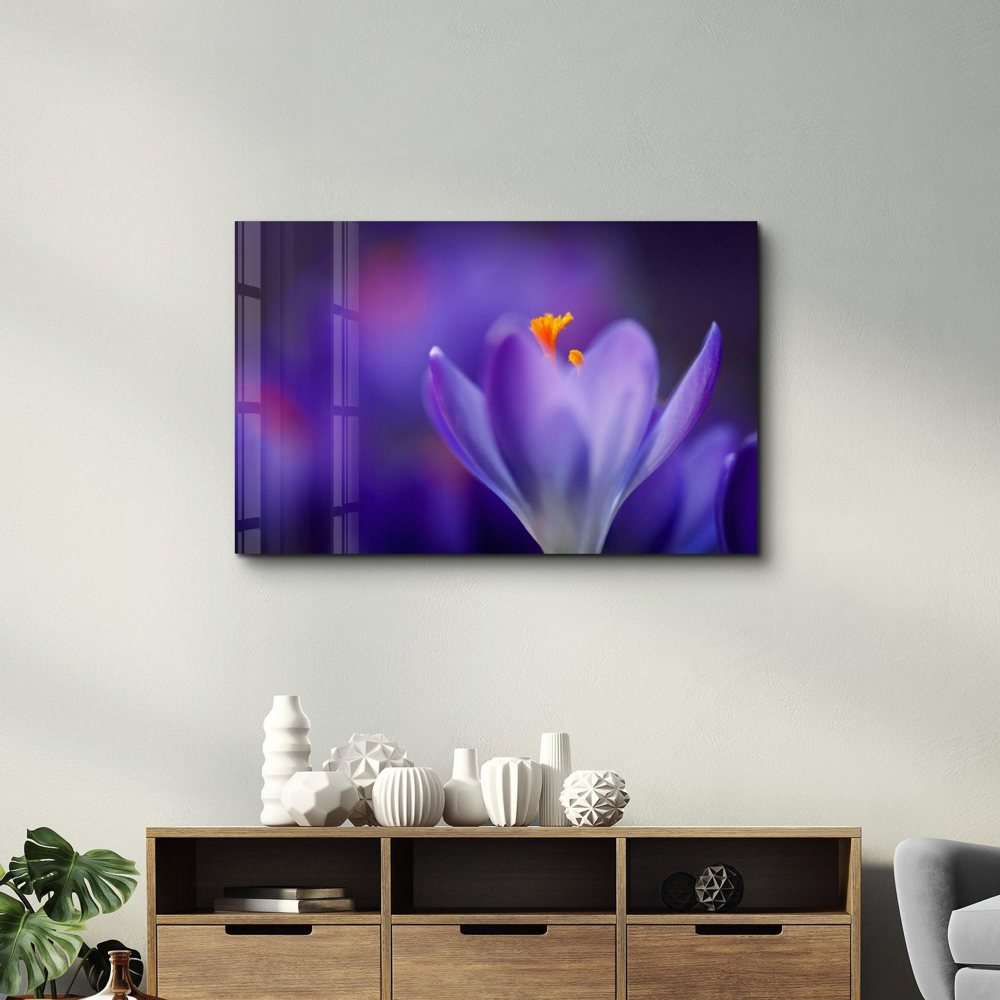 Radiant Bloom | Glass Wall Art - Artdesigna