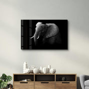 Elephant | Glass Wall Art - Artdesigna