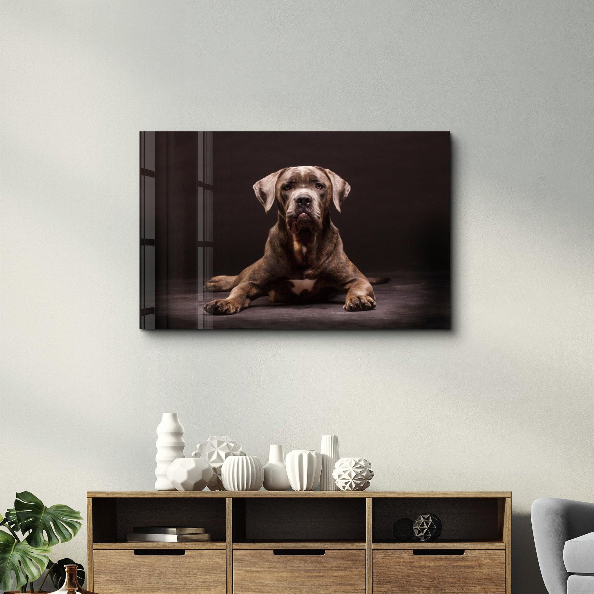 Dog | Glass Wall Art - Artdesigna