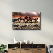 Horses | Glass Wall Art - Artdesigna