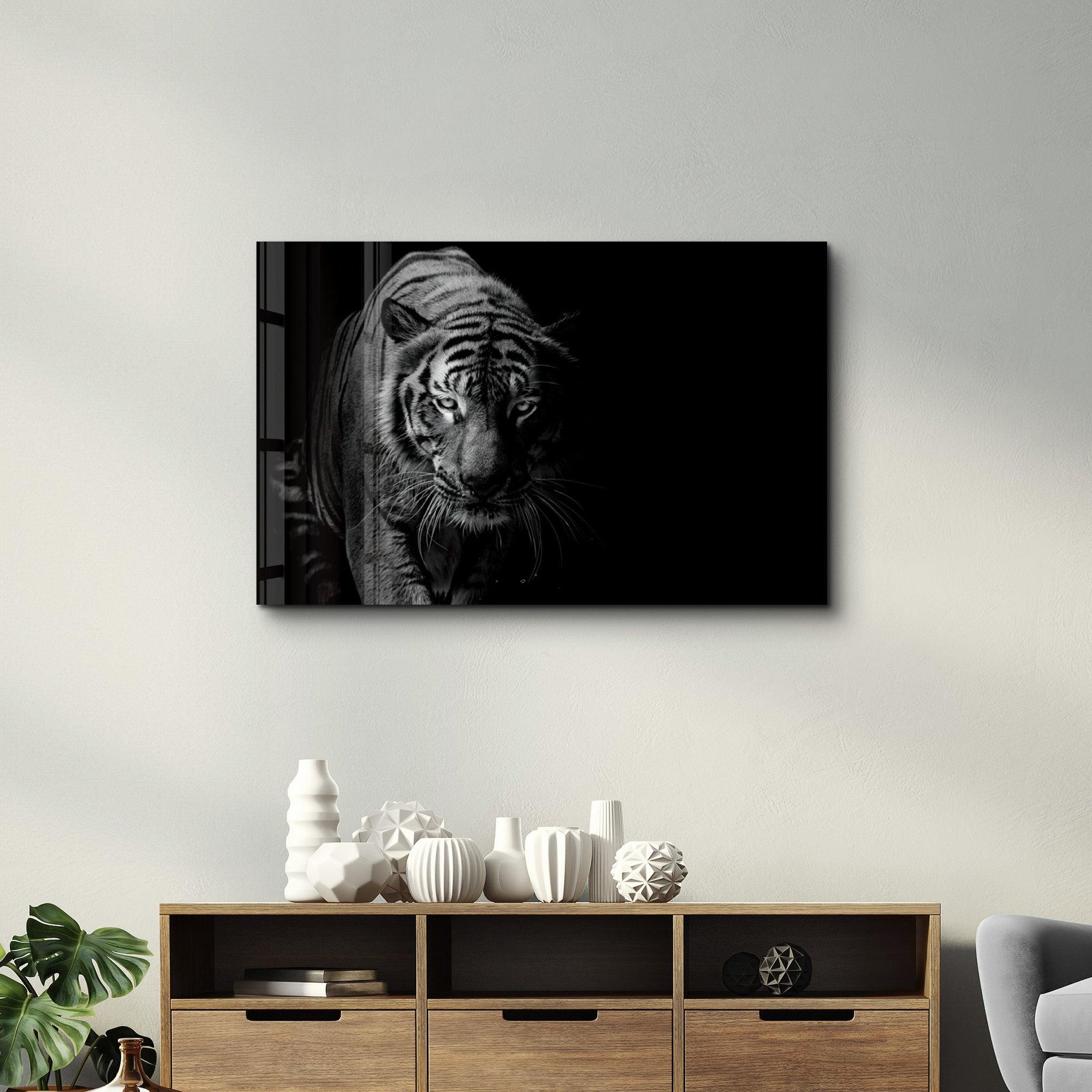 Tiger in the Black | Glass Wall Art - Artdesigna