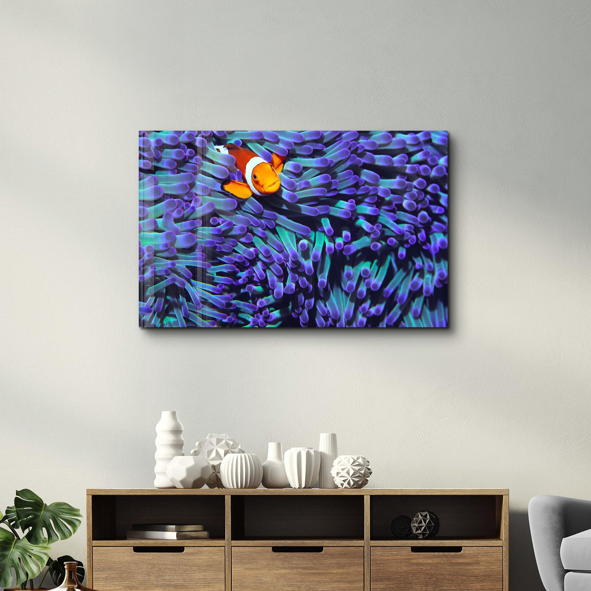 Clownfish | Glass Wall Art - Artdesigna