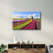 Tulips Of Amsterdam | Glass Wall Art - Artdesigna