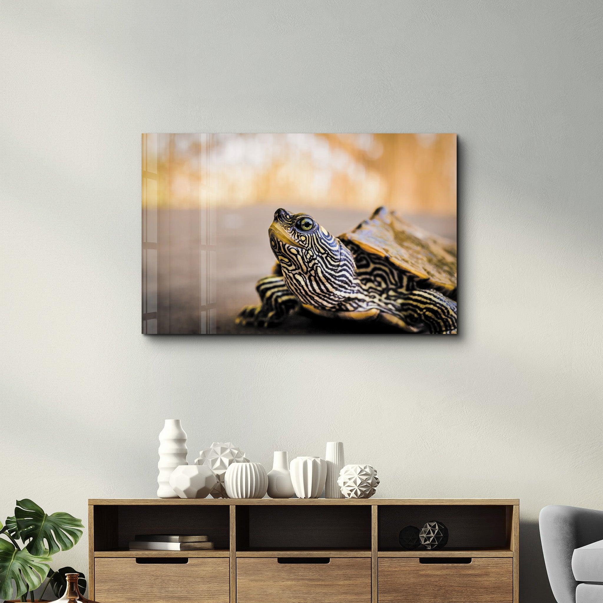 Striped Turtle | Glass Wall Art - Artdesigna