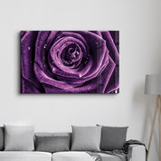 Purple Rose V2 | Glass Wall Art - Artdesigna