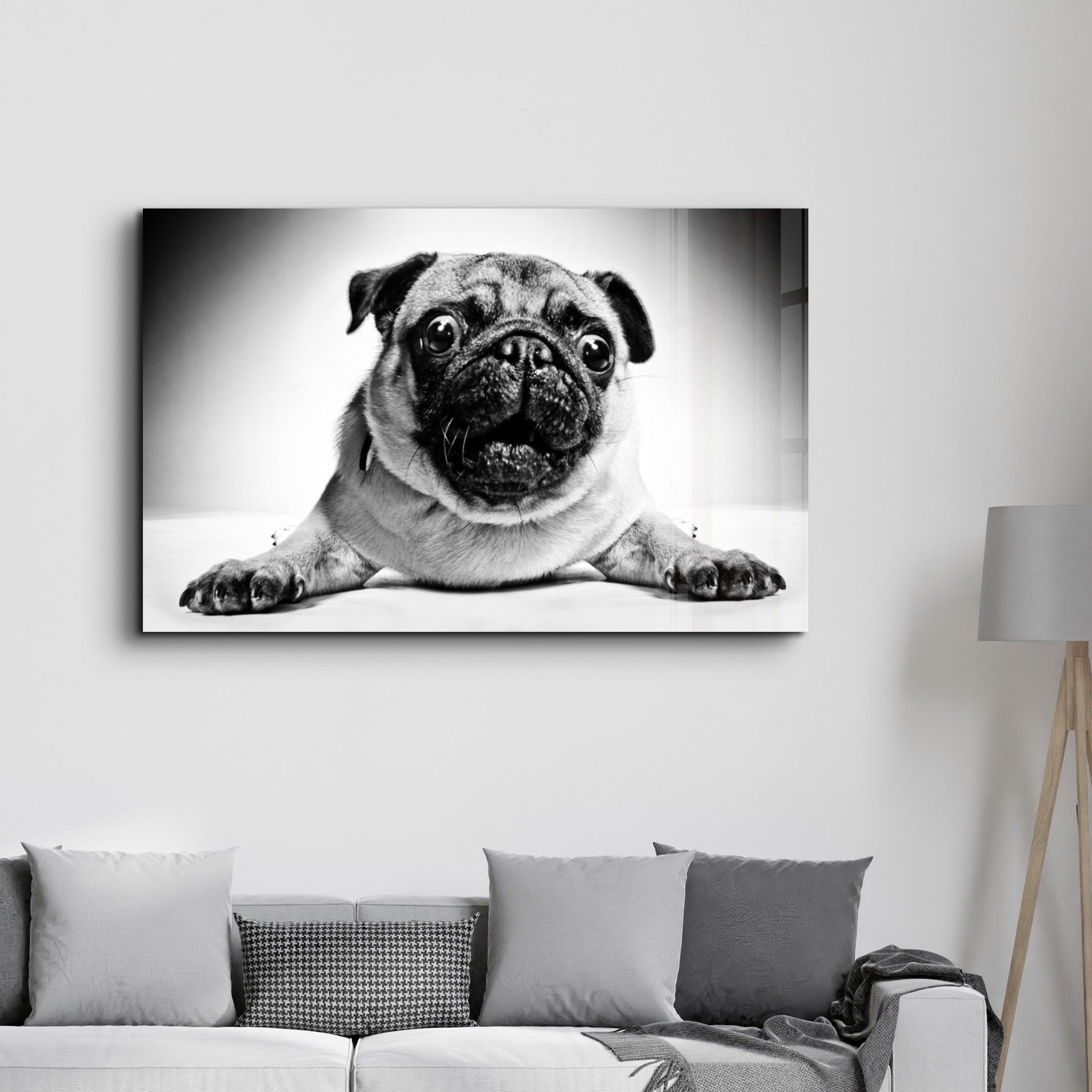 Pug | Glass Wall Art - Artdesigna