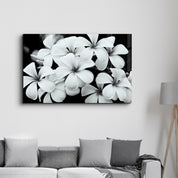 Timeless Bloom | Glass Wall Art - Artdesigna