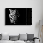 Tiger 1 | Glass Wall Art - Artdesigna