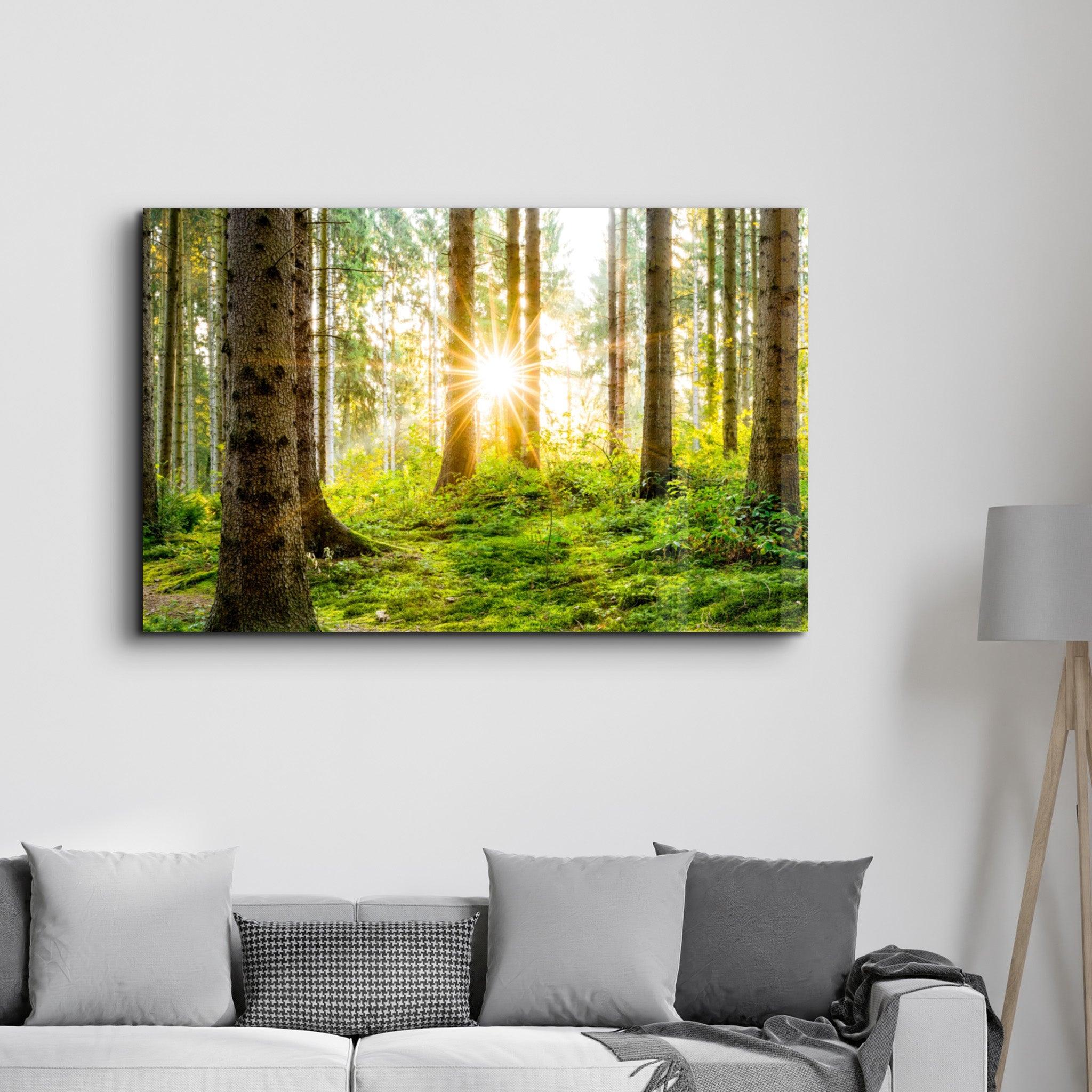 The Forest | Glass Wall Art - Artdesigna