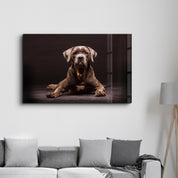 Dog | Glass Wall Art - Artdesigna