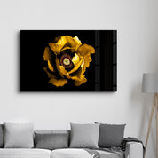 Yellow Rose 2 | Glass Wall Art - Artdesigna